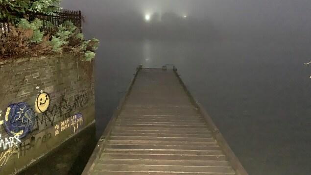 Un petit quai de plaisance dans la brume.