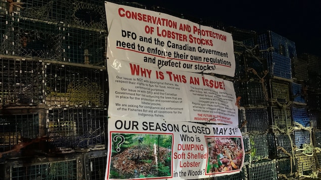 Un empilement de casiers à homards sur le quai de Saulnierville, N.-É., avec des panneaux décrivant les griefs des pêcheurs commerciaux.
