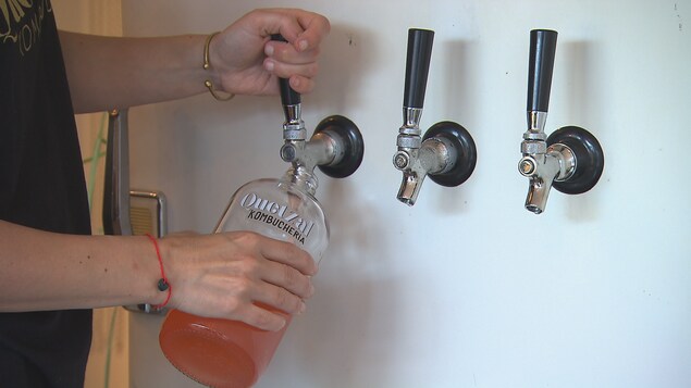 La « kombucheria » de Quetzal kombucha propose des produits en fût à déguster sur place ou à ramener chez soi.
