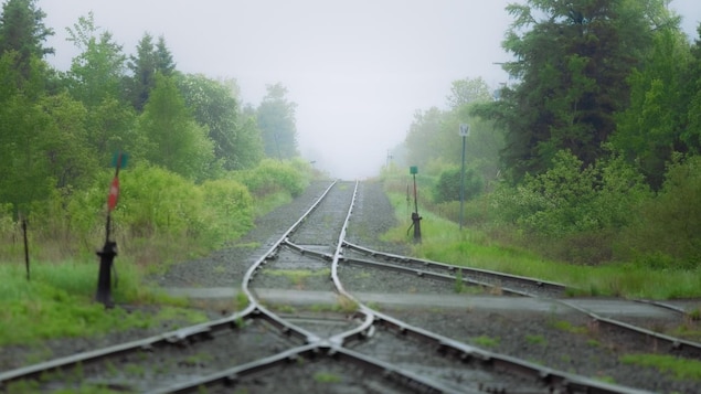 Le train de marchandises sera de retour à Gaspé en 2026, promet Québec