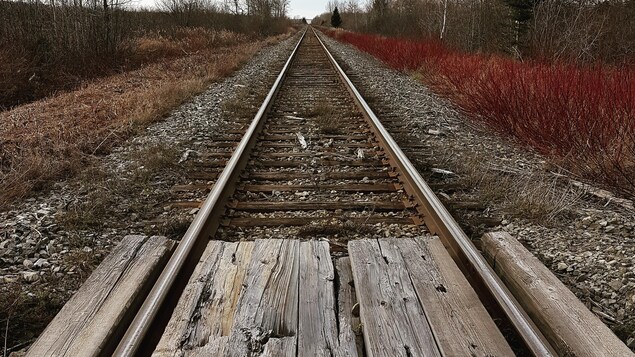 Une voie ferrée a subi l'usure du temps. 