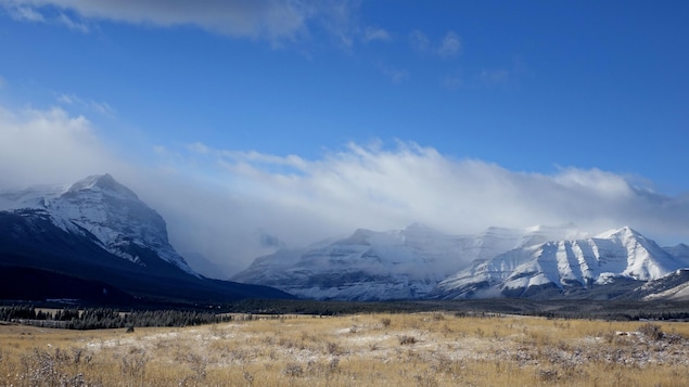 Paysage de prairies et de montagnes. Paysage de prairies et de montagnes.