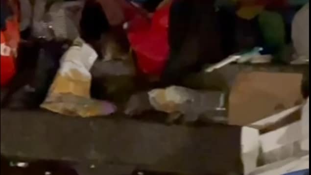 La vidéo a été captée sur le parvis de l'Église Saint-Roch à Québec.
