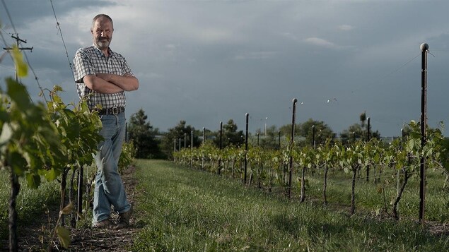 Charles-Henri de Coussergues au vignoble de L'Orpailleur, à Dunham au Québec Charles-Henri de Coussergues au vignoble de L'Orpailleur, à Dunham au Québec