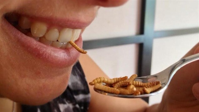 Une personne tient une cuillère remplie de vers près de sa bouche. Une personne tient une cuillère remplie de vers près de sa bouche.