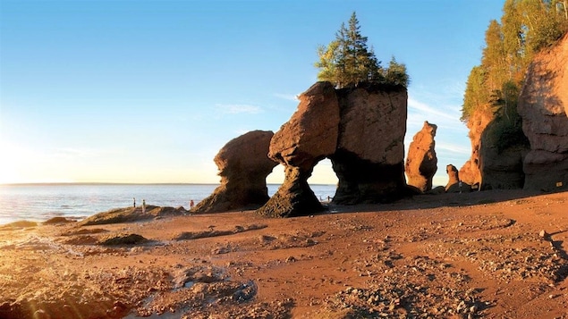 Les rochers du parc provincial Hopewell.