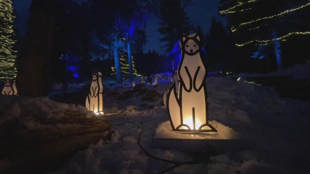 Deux décorations d'animaux sont éclairées sur le parcours d'À la recherche de l'esprit de Noël.