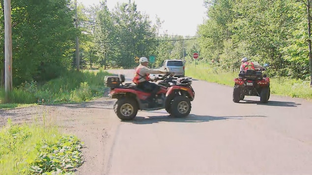 Des policiers sur des VTT sur une route entourée d'arbre.