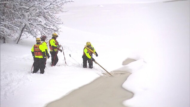 Des personnes vêtues de dossards et de vestes de sauvetage ratissent le bord de l'eau. Des personnes vêtues de dossards et de vestes de sauvetage ratissent le bord de l'eau.