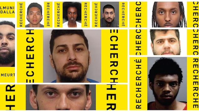 Fugitifs recherchés : les avez-vous vus?