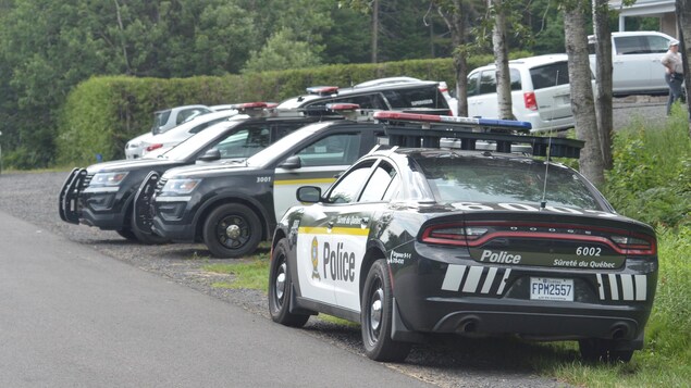 De nombreuses voitures de police immobilisées en bordure d'une route.