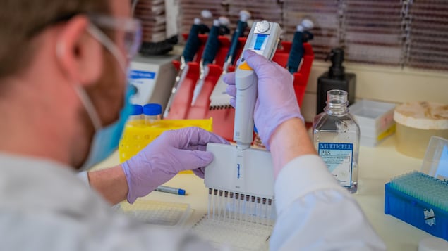 Un chercheur dans un laboratoire faisant des tests.
