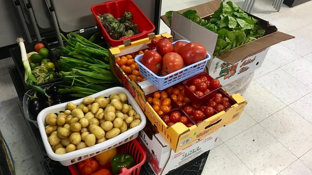 Des boîtes remplies de tomates, d'échalotes, d'artichauts, de pommes de terre et de laitues Des boîtes remplies de tomates, d'échalotes, d'artichauts, de pommes de terre et de laitues
