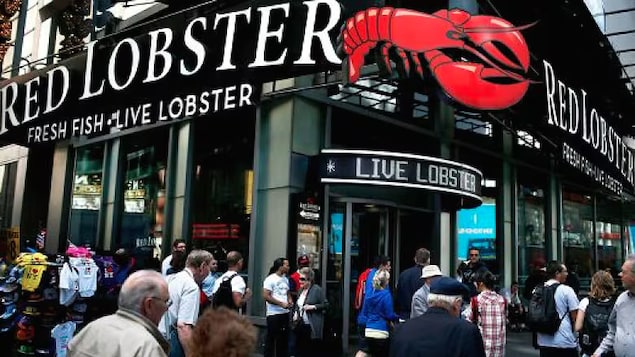 Days after Red Lobster filed for Chapter 11 bankruptcy and announced that it would close dozens of its seafood restaurants, the chain's Canadian counterpart will ask a provincial court to enforce the U.S. bankruptcy in Canada. 