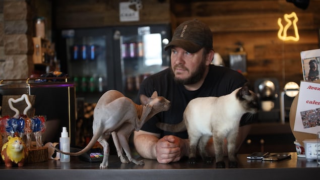 Manque de bénévoles au refuge pour animaux le Château