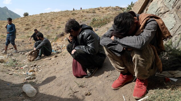 Il faut soutenir l’Iran et le Pakistan pour sauver des réfugiés afghans, estime l’ONU