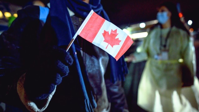 加拿大增加對安置難民服務的撥款。. 