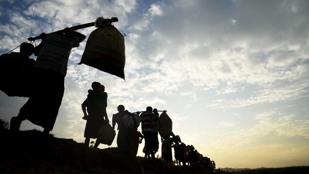 Des familles de Rohingyas transportent leurs biens et leurs enfants. Elles marchent en file indienne, en longeant un cours d'eau.