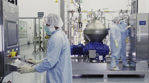 Des scientifiques de Regeneron Pharmaceuticals Inc. travaillent avec un bioréacteur dans un laboratoire.