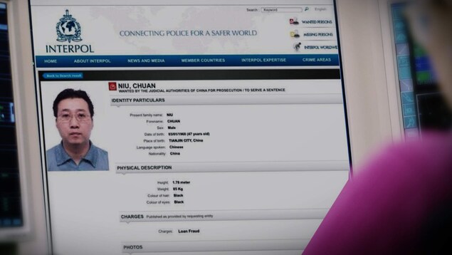 Le profile de Mike Niu sur le site d'Interpol Le profile de Mike Niu sur le site d'Interpol