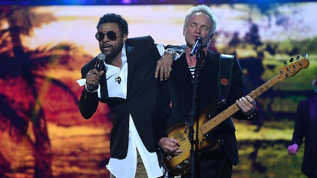 Shaggy et Sting. Shaggy et Sting.