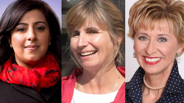 Photo en mosaïque d'Harinder Malhi, de Nathalie Des Rosiers et de Daiene Vernile. Photo en mosaïque d'Harinder Malhi, de Nathalie Des Rosiers et de Daiene Vernile.