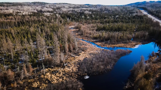 Les Wolastoqiyik souhaitent développer un pôle commercial près de l’A-85