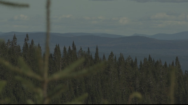 Vue sur les monts Chic-Chocs à partir de la réserve Matane Vue sur les monts Chic-Chocs à partir de la réserve Matane
