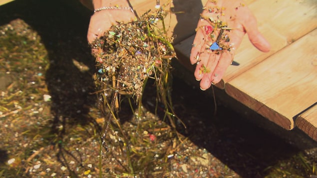 Une contamination de plastique « jugée préoccupante » dans la rivière Magog de Sherbrooke