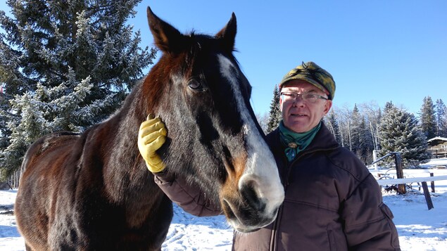 Rick Smith, le contremaître du ranch Ya Ha Tinda, caresse la tête d'un cheval Rick Smith, le contremaître du ranch Ya Ha Tinda, caresse la tête d'un cheval