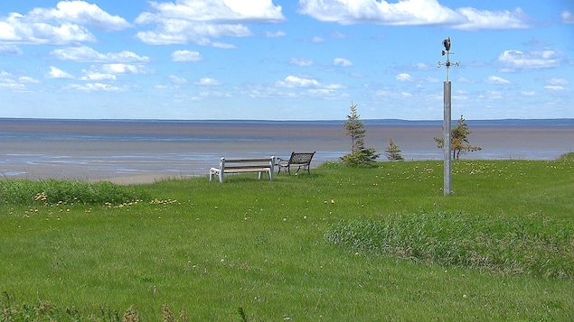 Le rivage menacé par l'érosion à Pointe-aux-Outardes. Le rivage menacé par l'érosion à Pointe-aux-Outardes.