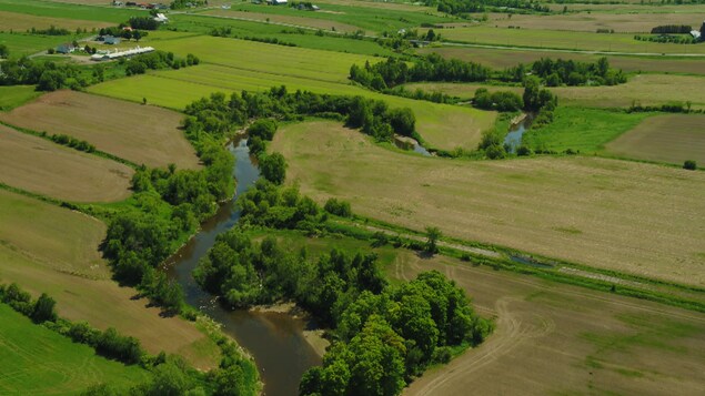 Vue aérienne de la rivière Boyer. On voit les champs en culture de chaque côté. Vue aérienne de la rivière Boyer. On voit les champs en culture de chaque côté.