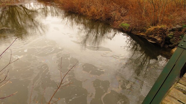 Des nappes d'hydrocarbures sont visibles à la surface de la rivière.