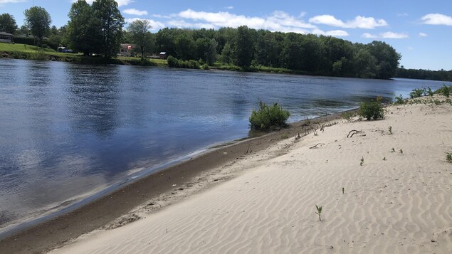 Une plage.