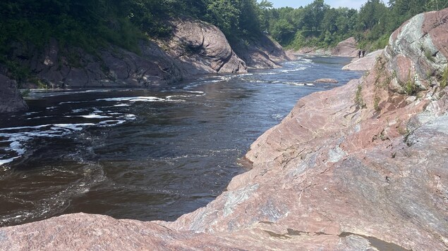Récemment arrivé d’Ukraine, un jeune homme manque à l’appel à Saint