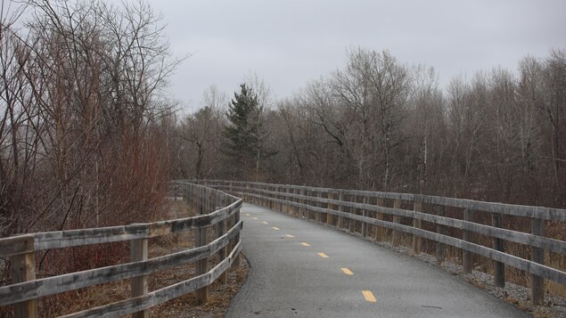 Projet immobilier sur la rue de Hatley à Magog : le promoteur se veut rassurant