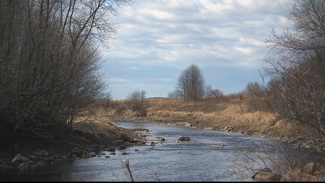 rivière rivière