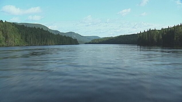 Québec annule les coupes forestières le long de la rivière Péribonka