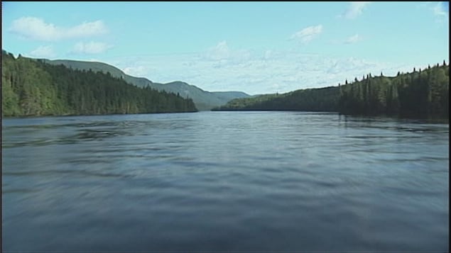 La rivière est entourée d'arbres et de montagnes.