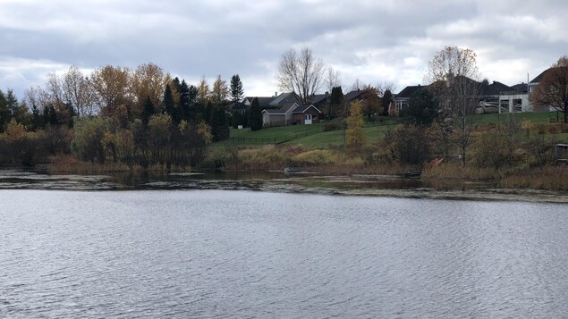 De l’eau potable aux tests de COVID-19, les microbiologistes veulent être mieux reconnus