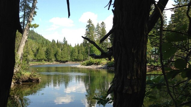 Rivière Sainte-Anne, parc de la Gaspésie Rivière Sainte-Anne, parc de la Gaspésie