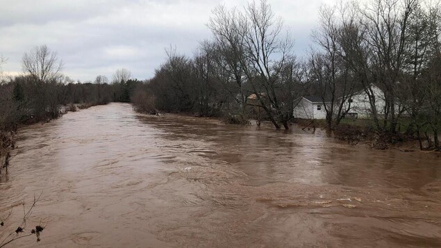 Une rivière au eaux brunes avec un taux d'eau énorme.