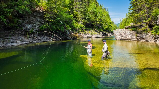 Des pêcheurs dans la rivière York Des pêcheurs dans la rivière York