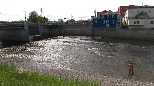 La rivière Matane, une expérience de pêche au saumon en plein centre-ville La rivière Matane, une expérience de pêche au saumon en plein centre-ville