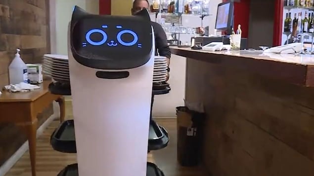 BC 省维多利亚市的一个餐馆新添一名机器人员工 - Robbie.