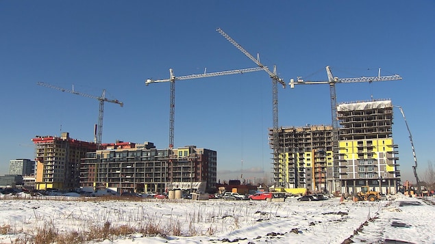 ROBILLARD TERRAINS ÉCOLES REM BROSSARD
