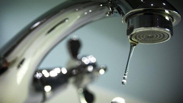 Des analyses d’eau de puits gratuites, demande le Parti vert de l’I.-P.-É.