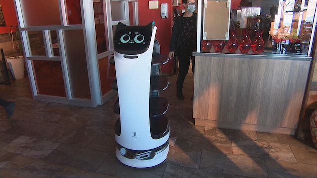 Le robot circule dans le restaurant.