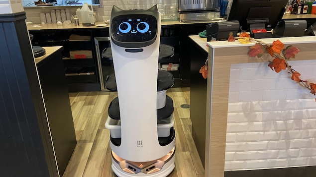 Le robot serveur, avec un visage de chat!