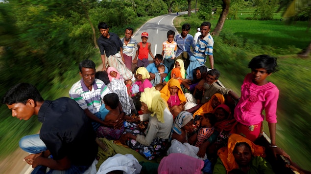 Certains réfugiés Rohingya qui arrivent à la frontière du Bangladesh sont transportés par camion vers le camp temporaire de Kutupalong où, épuisés par plusieurs jours de marche, ils trouvent un abri temporaire. Certains réfugiés Rohingya qui arrivent à la frontière du Bangladesh sont transportés par camion vers le camp temporaire de Kutupalong où, épuisés par plusieurs jours de marche, ils trouvent un abri temporaire.